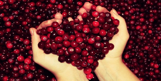 cranberry 2